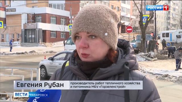 Около 2 тысяч старых деревьев планируется спилить в этом году в Хабаровске смотреть онлайн