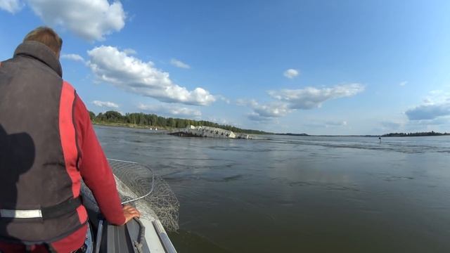 ПАЛКА В ЩЕПКИ НО ОГРОМНОГО МОНСТРА ВЗЯЛИ!!! Трофейная рыбалка 2019, Обь,джиг, крупный судак,,коряги смотреть онлайн