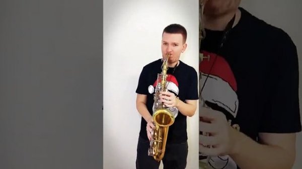 Kogutsax Песенка о медведях саксофон