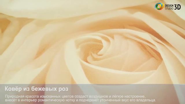 3D фотообои 'Ковёр из бежевых роз' смотреть онлайн