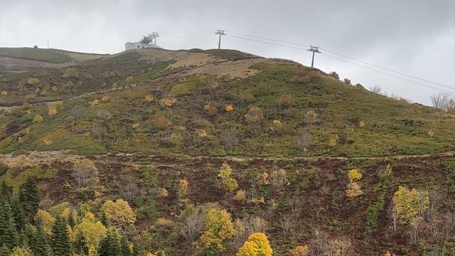 Уехали на море в октябре смотреть онлайн