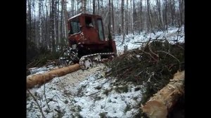 Трактор Т-70 Трелёвка леса