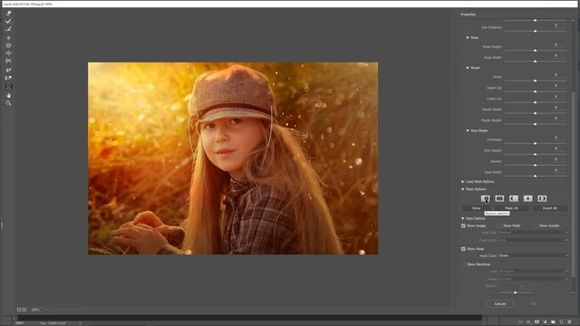 Face-Aware Liquify Tool | Photoshop Tutorial - CC 2015.5 Update Release смотреть онлайн