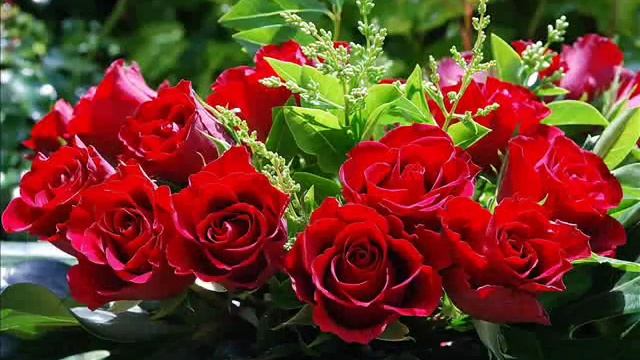 эти прекрасные розы смотреть онлайн