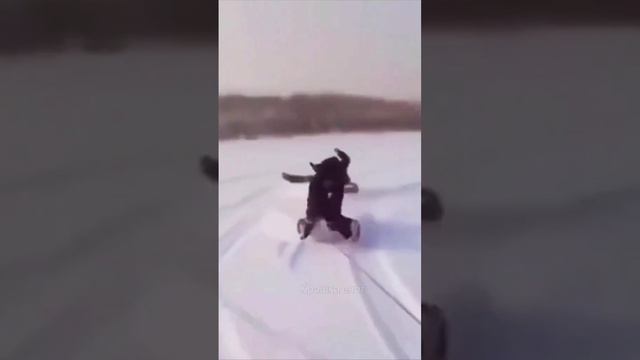 Покатались?? смотреть онлайн