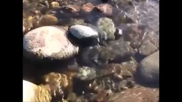 И. С. Тургенев Камень смотреть онлайн