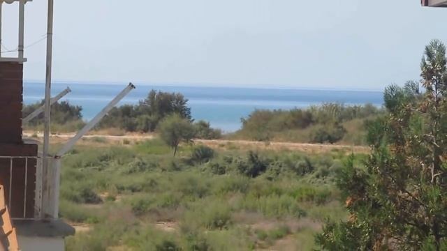 Готовим вкусно