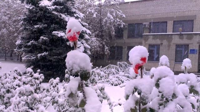 розы под снегом смотреть онлайн