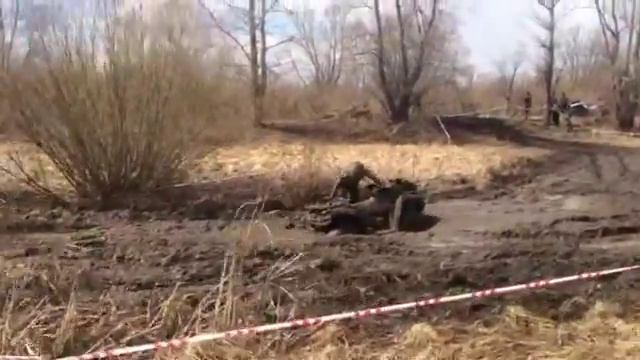День пингвина 2015. НЕ ударил лицом в грязь! смотреть онлайн