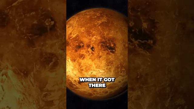 Uncovering Secrets of Venus What You Never Knew смотреть онлайн