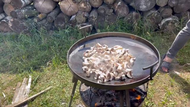 Самая вкусная форель на костре смотреть онлайн