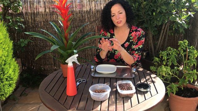 Cómo hacer un kokedama смотреть онлайн