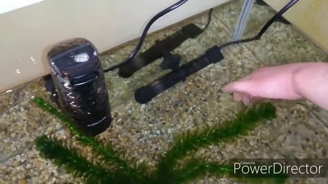 Fish tank parts 7 смотреть онлайн