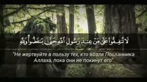 Омар хишам сура :63 аль - мунафикун((Лицемеры)