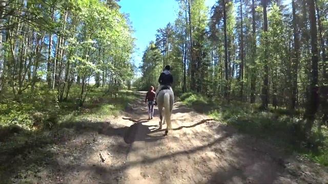 Как провести выходные в России? Бюджетный отдых в Ленобласти. смотреть онлайн