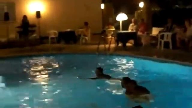 Villa Adriatica Rimini смотреть онлайн