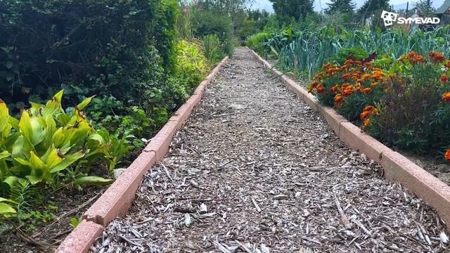 Rendre la terre - Episode 3 : branches et feuillages смотреть онлайн