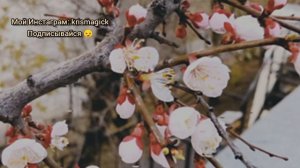 От врагов и завистников/ Мощный саблиминал/ Скрытые аффирмации ?