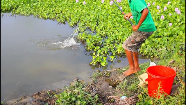 Hook Fishing - Traditional Hook Fishing - MR Fishing Life (Part-9) смотреть онлайн