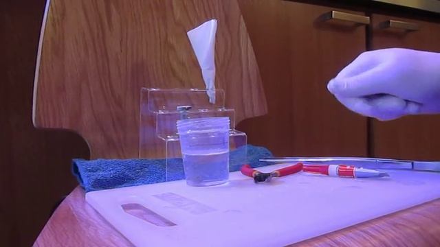 Фрагование Sps-кораллов