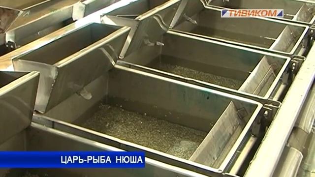 Царь-рыба смотреть онлайн