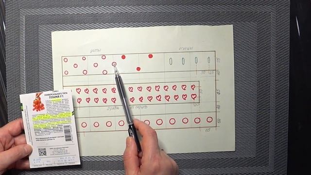 Смешанная посадка в теплице 3 на 6 метров томатов, перцев, огурцов в 2022 году / Схема смотреть онлайн