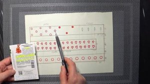 Смешанная посадка в теплице 3 на 6 метров томатов, перцев, огурцов в 2022 году / Схема