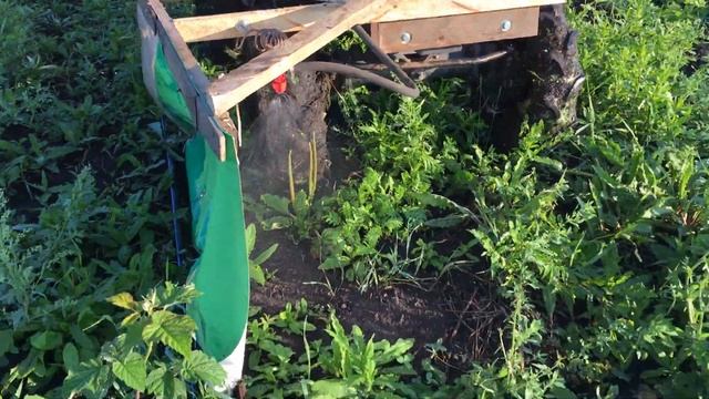 Сад малины карамелька. смотреть онлайн