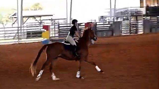 Bringbackthemagic, Andi & Magic Jumpers Classic Jump Off смотреть онлайн