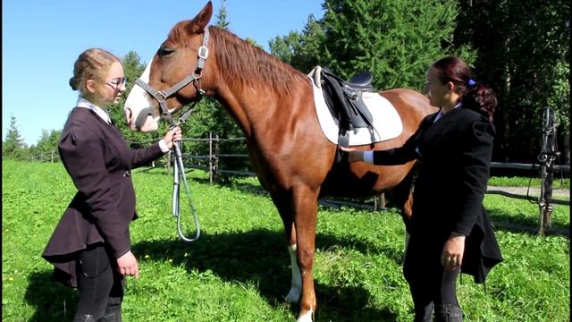 Как седлают лошадь смотреть онлайн