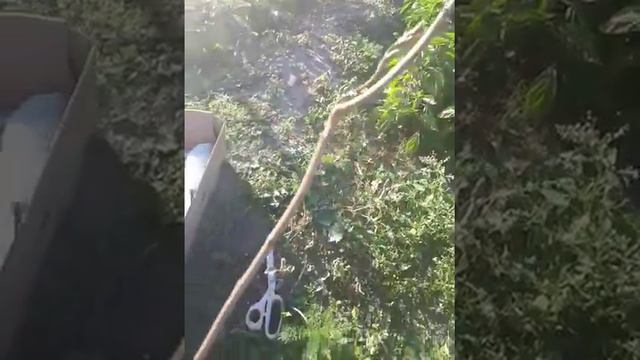 Беккер распаковка смотреть онлайн