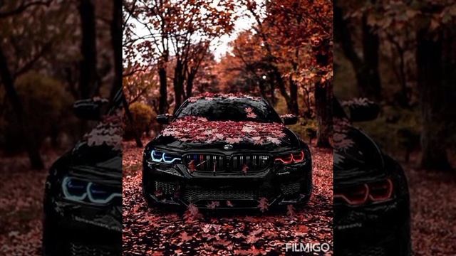 J.son-Караван смотреть онлайн