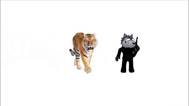 won’t bite ❤️ meme [APRIL FOOLS] || (piggy) || willow x tigry смотреть онлайн