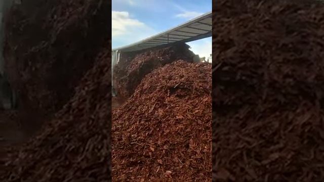 Кора-мульча лиственницы. Новые поступления в интернет-магазине Peregnoi.com смотреть онлайн