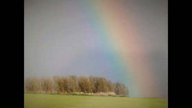 #РисуяДождьПтицаГалаЮрийКатасонов