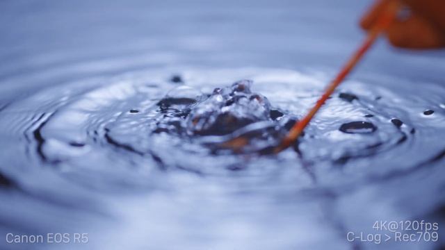 4K/120FPS SHOOTOUT! Canon EOS R5 vs. Sony A7sIII смотреть онлайн