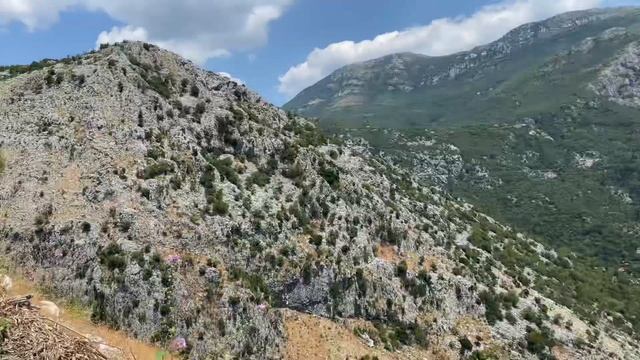 Лавандовое поле в Черногории смотреть онлайн