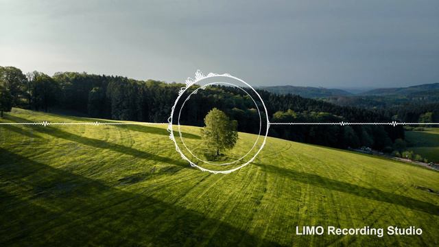Dan Lebowitz - Top Down смотреть онлайн
