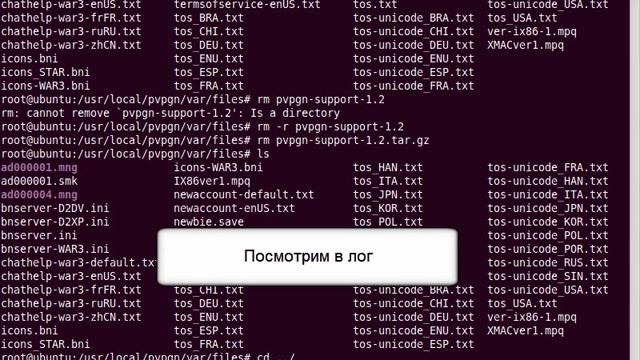 Установка PvPGN 1.8.5 под Linux (Ubuntu) смотреть онлайн
