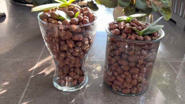 ПРИШЛО ВРЕМЯ РАЗБИРАТЬ ФЛОРАРИУМЫ 🫙🌱 ЧТО НЕ ПОНРАВИЛОСЬ. НОВОЕ ПРИМЕНЕНИЕ. 💮 смотреть онлайн