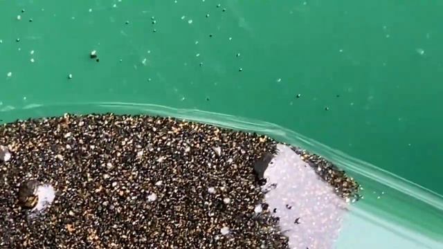 Знаки Солнца в Старательском лотке Дипсис/Deepsees