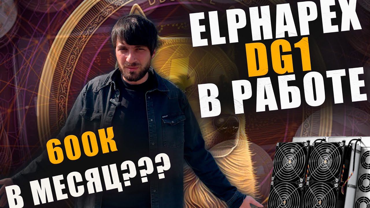 МАЙНИНГ В КОНТЕЙНЕРЕ  ELPHAPEX DG1 600к в месяц ?! | Биткоин 66000 $ Майнинг база. #btc #business