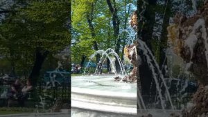 Прогулка по Летнему саду.