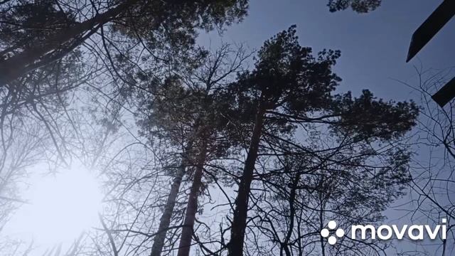 Чем полезна зола от костей. Совмещаю сразу несколько дел. смотреть онлайн