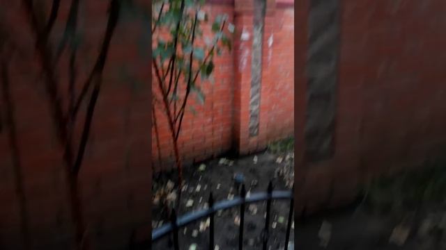 Geksagen'у купили трехэтажную кровать, епа-мать. смотреть онлайн
