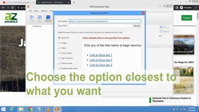 Downloading from unsupported sites via manual link search (WFDownloader App) смотреть онлайн