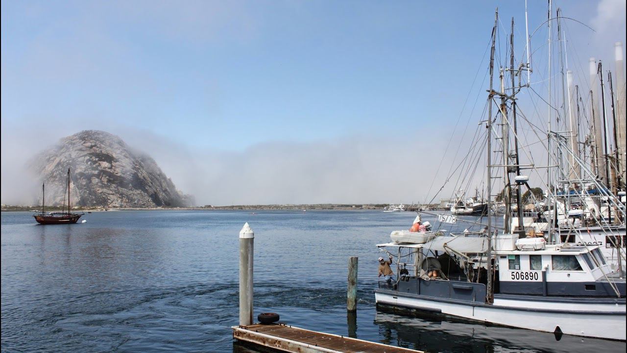 Играем в Diablo 3 Reaper Of Souls, отдыхаем, общаемся!