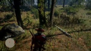 Red Dead Redemption 2  Фиолетовый подснежник