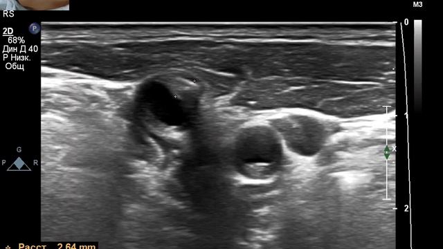 Fantastic Discoveries