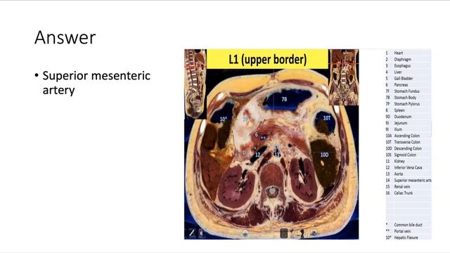OSPE Live Mock I Hiba Raheel I GIT 113 PAL review session смотреть онлайн